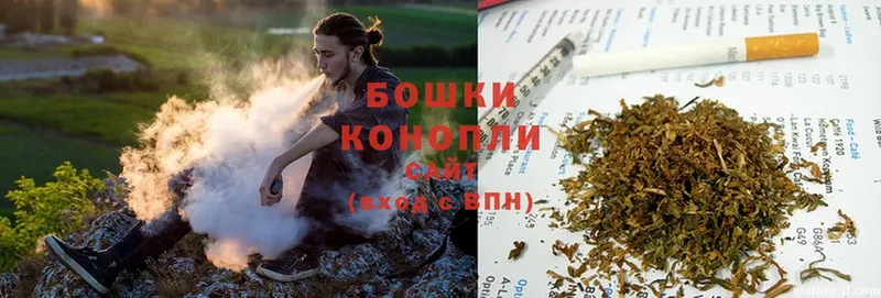 Бошки Шишки LSD WEED  купить наркоту  Лагань 